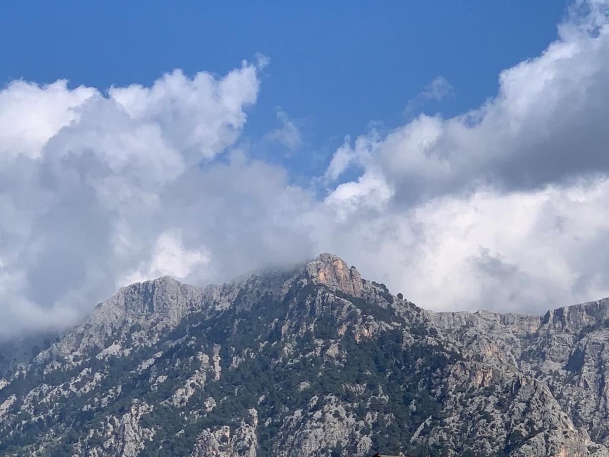Hotel Casa Bougainvillea Sóller Zewnętrze zdjęcie